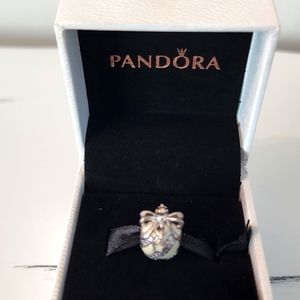 Pandora Charm